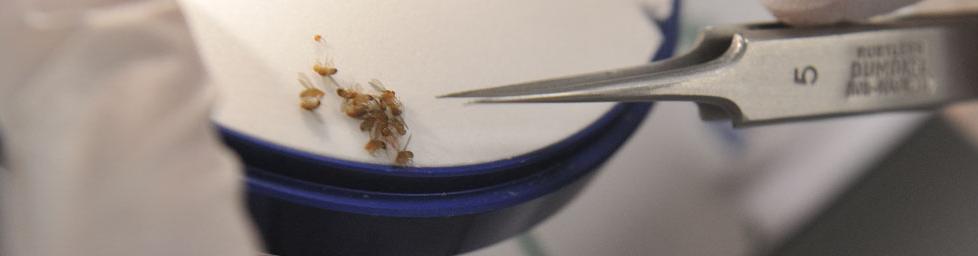 מעבדה|מחקר ופיתוח|ביולוגיה