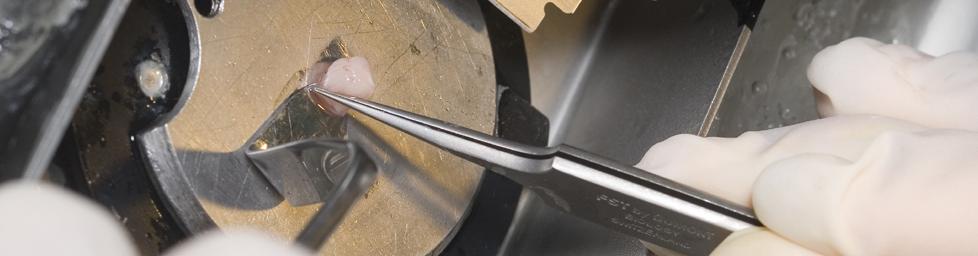 Laboratory|R&D|Biology